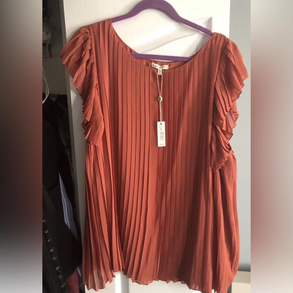 Max Studio Pleated Terracotta Blouse